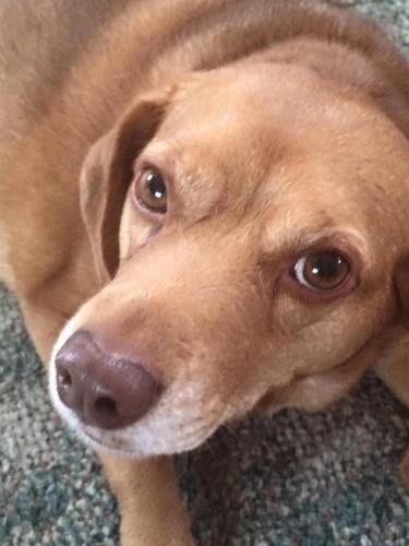 19:25:06 GMT-0600 (CST).image