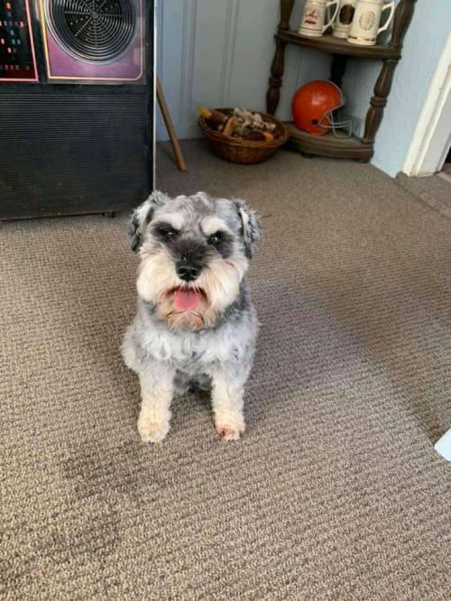 21:23:49 GMT+0100 (WAT)