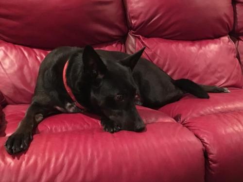 10:16:22 GMT-0600 (CST).image