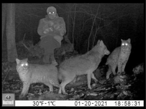 04:30:55 GMT-0500 (EST)