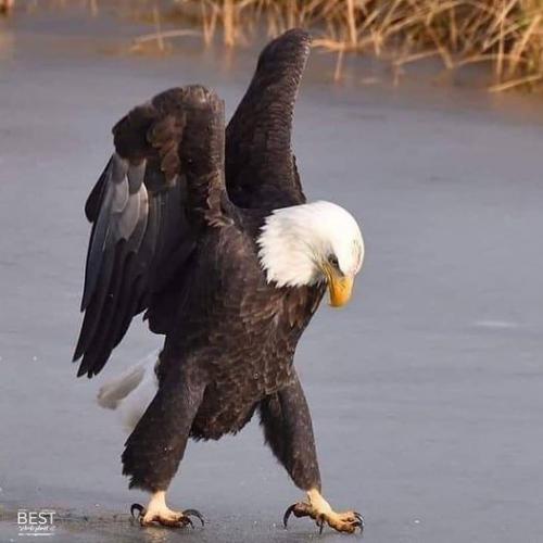 138840133_1775678922598312_3972194295598448572_n