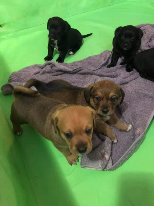 00:55:33 GMT-0500 (EST)