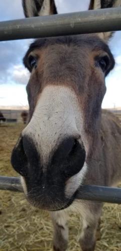 19:42:01 GMT-0800 (PST).image