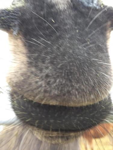 07:54:38 GMT-0800 (PST).image