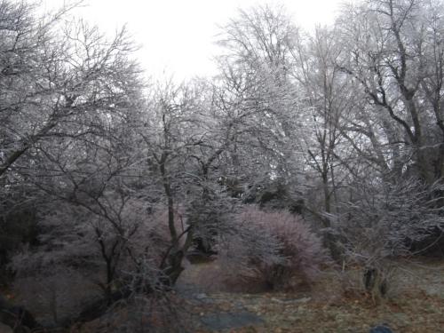 09:17:38 GMT-0600 (CST)