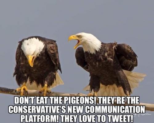 01:31:51 GMT-0800 (PST).image