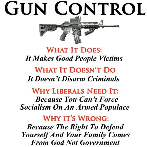 GUN CONTROL