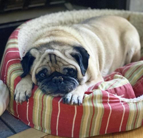 17:40:37 GMT+0100 (WAT).image