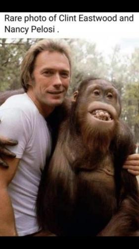 B8FD3682-6558-448C-98DD-E841E47386A0-3985-0000023459439062