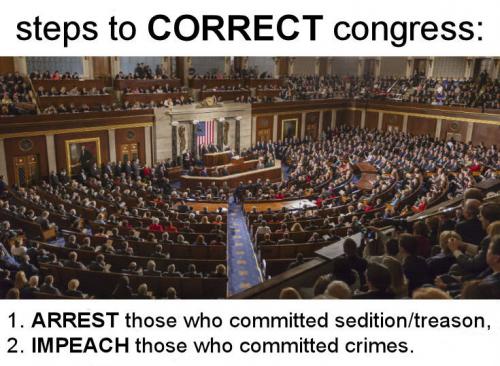 congress135