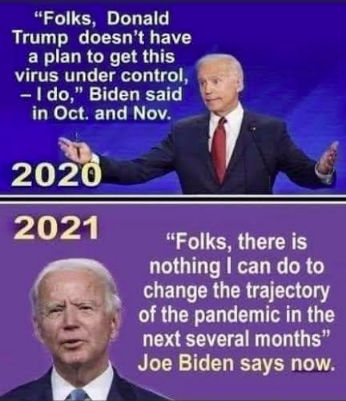 biden317