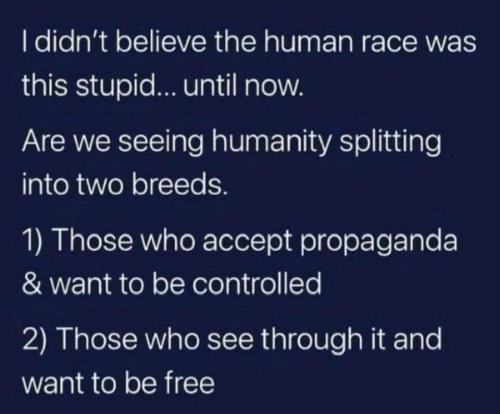 17:13:32 GMT-0600 (CST)