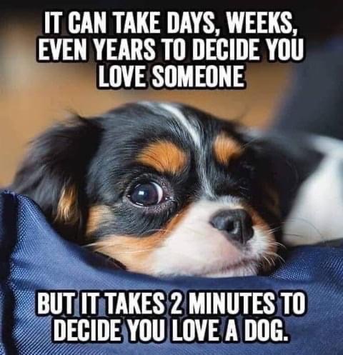 22:21:04 GMT-0800 (PST).image