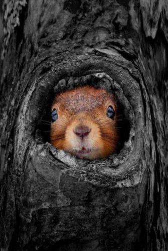 133567409_1483459358520076_5757317993195932085_n