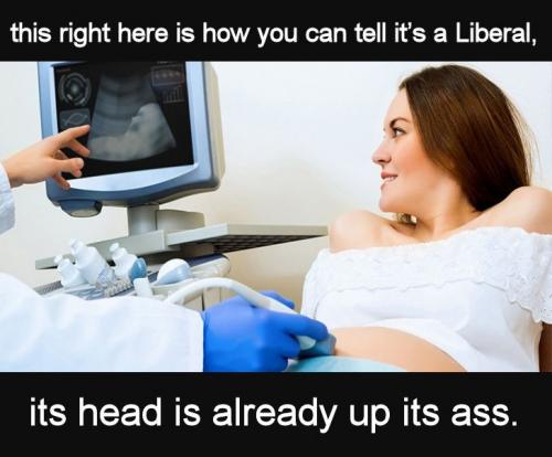 zlibtards83
