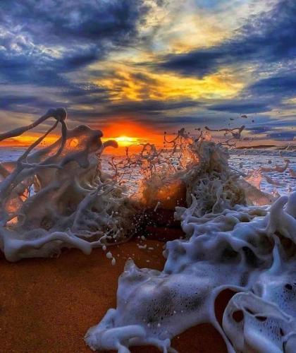 144812543_1787415321424672_4980366029196954154_o