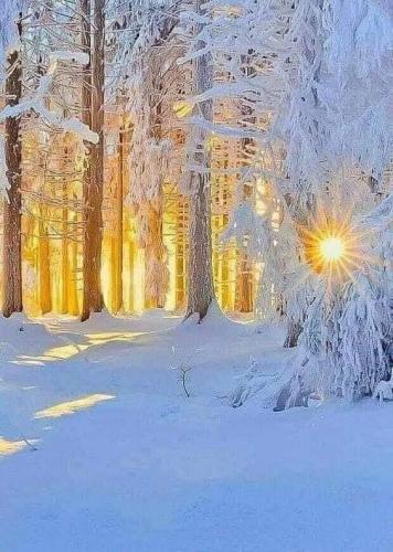 144186239_1786626821503522_8875213543099840679_n