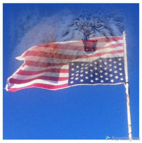 19:22:57 GMT-0500 (EST)