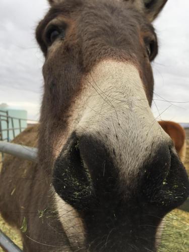 07:56:19 GMT-0800 (PST).image