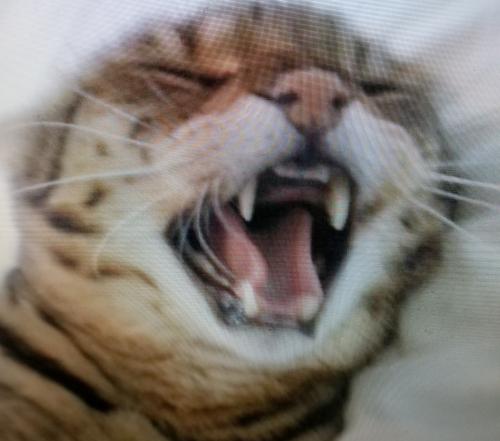 07:18:33 GMT-0500 (EST)