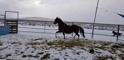 07:56:24 GMT-0800 (PST).image