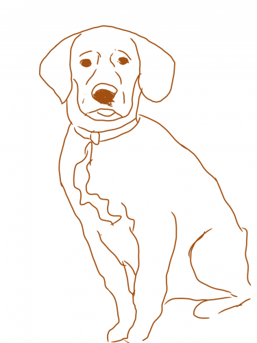 42CFF676-4759-4794-879F-35A6A8EA9415