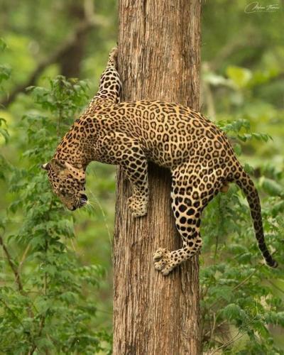 138356140_1774954326004105_6771783151020380394_o