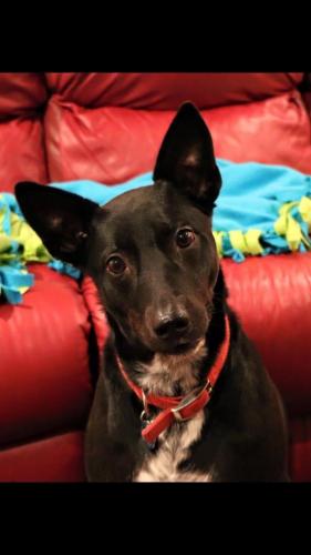 10:17:07 GMT-0600 (CST).image