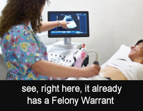 felony warrant01