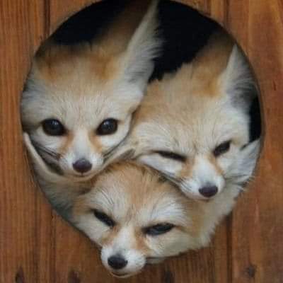 22:42:42 GMT-0600 (CST)