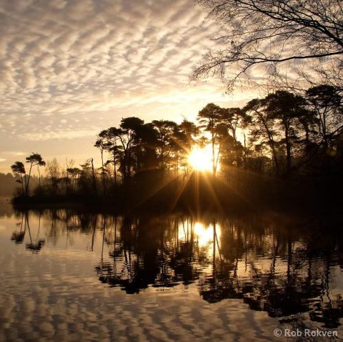 11935158_10153308815663649_6361641693010481407_o~2