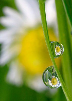 08:01:52 GMT-0600 (CST)