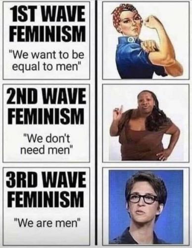 FEMINISM MEME