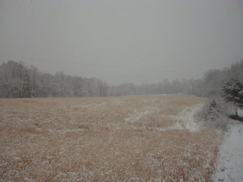 08:16:04 GMT-0600 (CST)