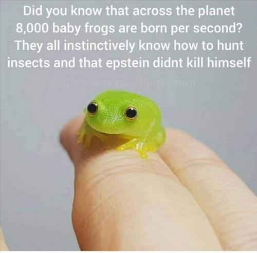 10:41:21 GMT-0600 (CST)