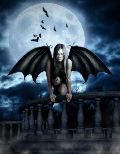 tumblr_b055b78d8726b33dcee00b474fa73a29_f6950c97_540