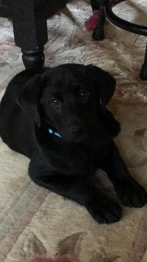 16:18:32 GMT+0100 (WAT)