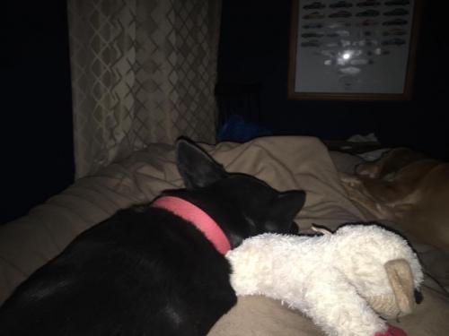 10:04:54 GMT-0600 (CST).image