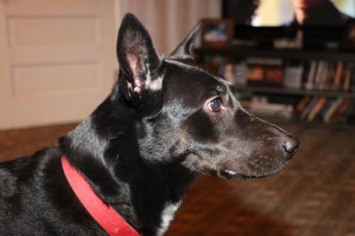 10:05:28 GMT-0600 (CST).image