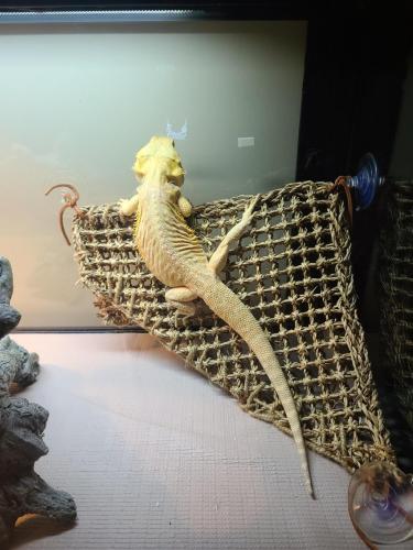 22:30:17 GMT-0600 (CST)