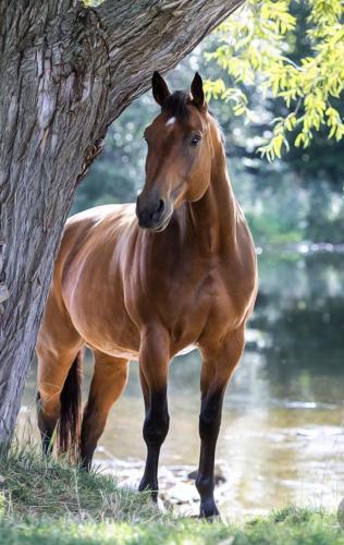 143558909_1504019559797389_1814537147559168375_o