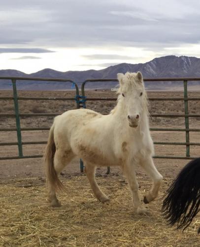 08:04:28 GMT-0800 (PST).image