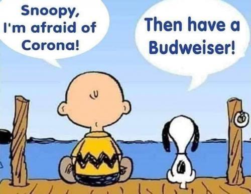 FB_IMG_1611842721885