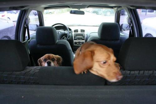 19:04:40 GMT-0600 (CST).image