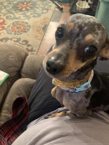 84A49584-8B18-4989-A18F-DD2CF9D46020