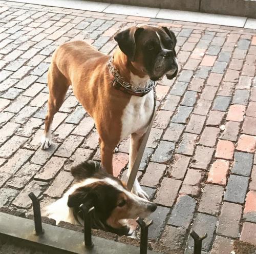 12:51:58 GMT+0100 (CET)