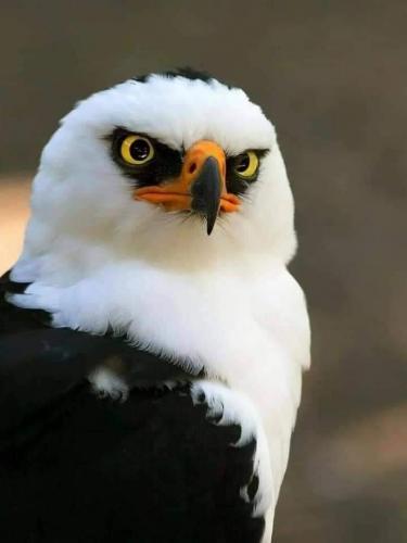 140188663_108872824507422_6597091948225102240_n