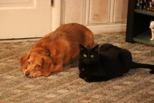 19:04:40 GMT-0600 (CST).image