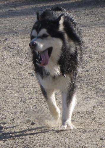 11:27:58 GMT-0500 (EST).image