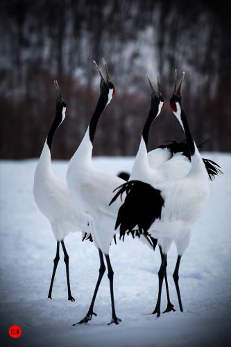 133889972_4842444995827181_5076812285272813133_o